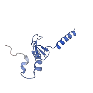 15863_8b6c_p_v1-1
Cryo-EM structure of ribosome-Sec61 in complex with cyclotriazadisulfonamide derivative CK147