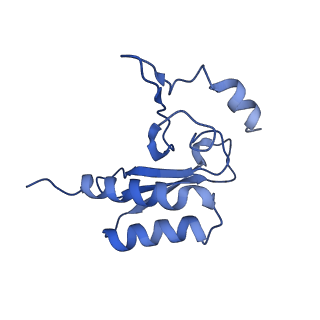 15863_8b6c_r_v1-1
Cryo-EM structure of ribosome-Sec61 in complex with cyclotriazadisulfonamide derivative CK147