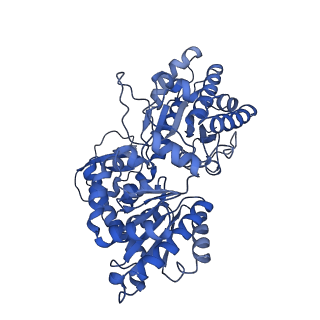 15865_8b6f_A0_v1-2
Cryo-EM structure of NADH:ubiquinone oxidoreductase (complex-I) from respiratory supercomplex of Tetrahymena thermophila