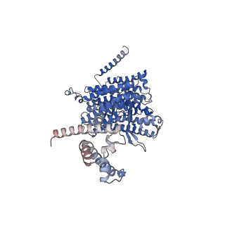 15865_8b6f_AA_v1-2
Cryo-EM structure of NADH:ubiquinone oxidoreductase (complex-I) from respiratory supercomplex of Tetrahymena thermophila