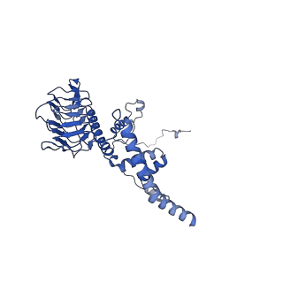 15865_8b6f_AG_v1-2
Cryo-EM structure of NADH:ubiquinone oxidoreductase (complex-I) from respiratory supercomplex of Tetrahymena thermophila