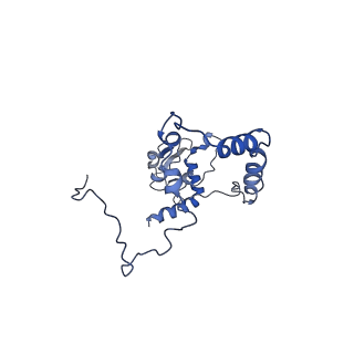 15865_8b6f_AL_v1-2
Cryo-EM structure of NADH:ubiquinone oxidoreductase (complex-I) from respiratory supercomplex of Tetrahymena thermophila