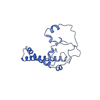15865_8b6f_AU_v1-2
Cryo-EM structure of NADH:ubiquinone oxidoreductase (complex-I) from respiratory supercomplex of Tetrahymena thermophila