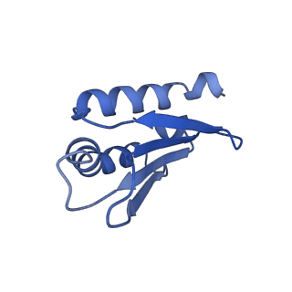 15865_8b6f_AZ_v1-2
Cryo-EM structure of NADH:ubiquinone oxidoreductase (complex-I) from respiratory supercomplex of Tetrahymena thermophila