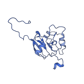 15865_8b6f_BI_v1-2
Cryo-EM structure of NADH:ubiquinone oxidoreductase (complex-I) from respiratory supercomplex of Tetrahymena thermophila