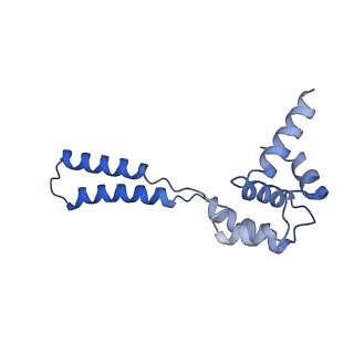 15865_8b6f_BU_v1-2
Cryo-EM structure of NADH:ubiquinone oxidoreductase (complex-I) from respiratory supercomplex of Tetrahymena thermophila
