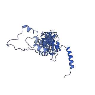 15866_8b6g_CB_v1-2
Cryo-EM structure of succinate dehydrogenase complex (complex-II) in respiratory supercomplex of Tetrahymena thermophila