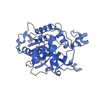 15866_8b6g_CE_v1-2
Cryo-EM structure of succinate dehydrogenase complex (complex-II) in respiratory supercomplex of Tetrahymena thermophila