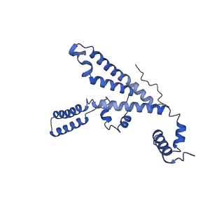 15866_8b6g_CF_v1-2
Cryo-EM structure of succinate dehydrogenase complex (complex-II) in respiratory supercomplex of Tetrahymena thermophila