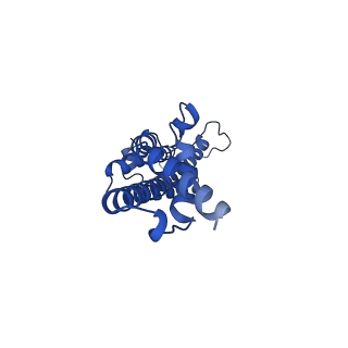 15866_8b6g_CG_v1-2
Cryo-EM structure of succinate dehydrogenase complex (complex-II) in respiratory supercomplex of Tetrahymena thermophila