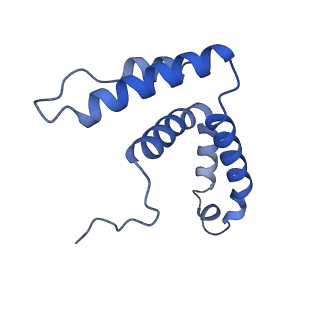15866_8b6g_CH_v1-2
Cryo-EM structure of succinate dehydrogenase complex (complex-II) in respiratory supercomplex of Tetrahymena thermophila