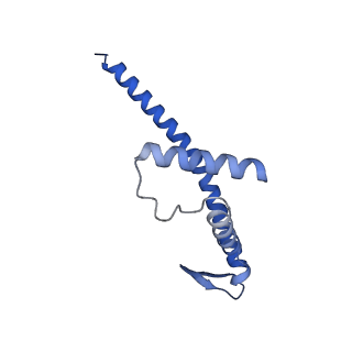 15866_8b6g_CI_v1-2
Cryo-EM structure of succinate dehydrogenase complex (complex-II) in respiratory supercomplex of Tetrahymena thermophila