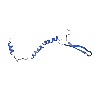 15866_8b6g_CK_v1-2
Cryo-EM structure of succinate dehydrogenase complex (complex-II) in respiratory supercomplex of Tetrahymena thermophila