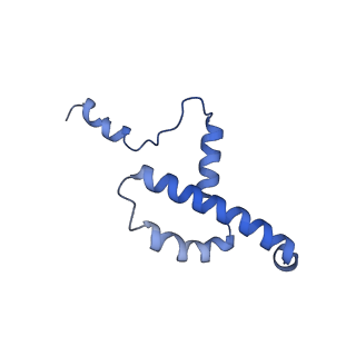 15866_8b6g_CL_v1-2
Cryo-EM structure of succinate dehydrogenase complex (complex-II) in respiratory supercomplex of Tetrahymena thermophila