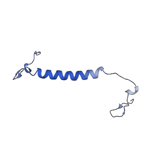 15866_8b6g_CM_v1-2
Cryo-EM structure of succinate dehydrogenase complex (complex-II) in respiratory supercomplex of Tetrahymena thermophila