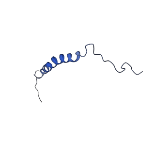 15866_8b6g_CN_v1-2
Cryo-EM structure of succinate dehydrogenase complex (complex-II) in respiratory supercomplex of Tetrahymena thermophila