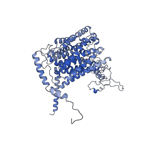 15867_8b6h_DA_v1-2
Cryo-EM structure of cytochrome c oxidase dimer (complex IV) from respiratory supercomplex of Tetrahymena thermophila