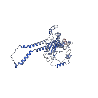 15867_8b6h_DB_v1-2
Cryo-EM structure of cytochrome c oxidase dimer (complex IV) from respiratory supercomplex of Tetrahymena thermophila