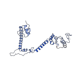 15867_8b6h_DJ_v1-2
Cryo-EM structure of cytochrome c oxidase dimer (complex IV) from respiratory supercomplex of Tetrahymena thermophila