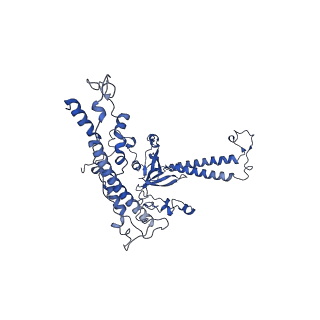 15867_8b6h_DM_v1-2
Cryo-EM structure of cytochrome c oxidase dimer (complex IV) from respiratory supercomplex of Tetrahymena thermophila