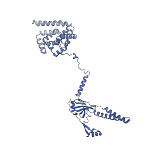15867_8b6h_DO_v1-2
Cryo-EM structure of cytochrome c oxidase dimer (complex IV) from respiratory supercomplex of Tetrahymena thermophila
