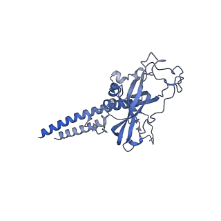 15867_8b6h_DP_v1-2
Cryo-EM structure of cytochrome c oxidase dimer (complex IV) from respiratory supercomplex of Tetrahymena thermophila