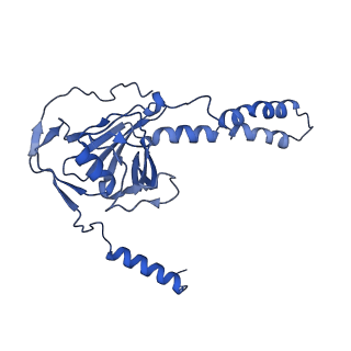 15867_8b6h_DR_v1-2
Cryo-EM structure of cytochrome c oxidase dimer (complex IV) from respiratory supercomplex of Tetrahymena thermophila