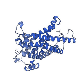 15867_8b6h_DV_v1-2
Cryo-EM structure of cytochrome c oxidase dimer (complex IV) from respiratory supercomplex of Tetrahymena thermophila