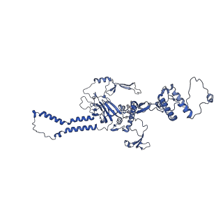 15867_8b6h_Db_v1-2
Cryo-EM structure of cytochrome c oxidase dimer (complex IV) from respiratory supercomplex of Tetrahymena thermophila
