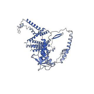 15867_8b6h_Dc_v1-2
Cryo-EM structure of cytochrome c oxidase dimer (complex IV) from respiratory supercomplex of Tetrahymena thermophila