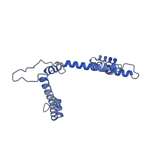 15867_8b6h_Dj_v1-2
Cryo-EM structure of cytochrome c oxidase dimer (complex IV) from respiratory supercomplex of Tetrahymena thermophila