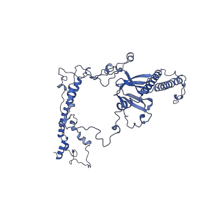 15867_8b6h_Dm_v1-2
Cryo-EM structure of cytochrome c oxidase dimer (complex IV) from respiratory supercomplex of Tetrahymena thermophila
