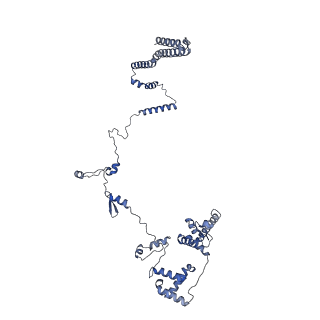 15867_8b6h_Dn_v1-2
Cryo-EM structure of cytochrome c oxidase dimer (complex IV) from respiratory supercomplex of Tetrahymena thermophila