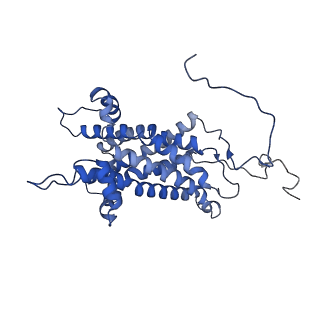 15867_8b6h_Ds_v1-2
Cryo-EM structure of cytochrome c oxidase dimer (complex IV) from respiratory supercomplex of Tetrahymena thermophila