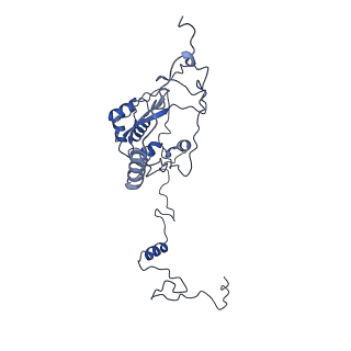 15867_8b6h_Dt_v1-2
Cryo-EM structure of cytochrome c oxidase dimer (complex IV) from respiratory supercomplex of Tetrahymena thermophila