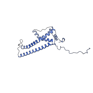 15867_8b6h_EA_v1-2
Cryo-EM structure of cytochrome c oxidase dimer (complex IV) from respiratory supercomplex of Tetrahymena thermophila