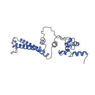 15867_8b6h_EB_v1-2
Cryo-EM structure of cytochrome c oxidase dimer (complex IV) from respiratory supercomplex of Tetrahymena thermophila