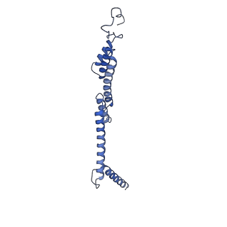 15867_8b6h_EK_v1-2
Cryo-EM structure of cytochrome c oxidase dimer (complex IV) from respiratory supercomplex of Tetrahymena thermophila
