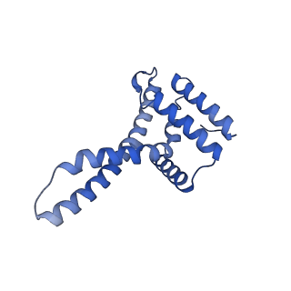 15867_8b6h_EM_v1-2
Cryo-EM structure of cytochrome c oxidase dimer (complex IV) from respiratory supercomplex of Tetrahymena thermophila