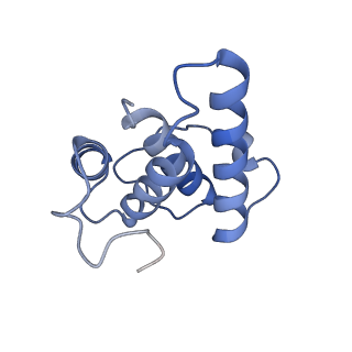 15867_8b6h_ER_v1-2
Cryo-EM structure of cytochrome c oxidase dimer (complex IV) from respiratory supercomplex of Tetrahymena thermophila