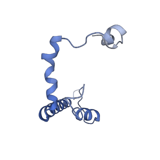 15867_8b6h_EU_v1-2
Cryo-EM structure of cytochrome c oxidase dimer (complex IV) from respiratory supercomplex of Tetrahymena thermophila