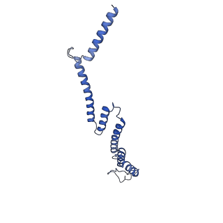 15867_8b6h_Ek_v1-2
Cryo-EM structure of cytochrome c oxidase dimer (complex IV) from respiratory supercomplex of Tetrahymena thermophila
