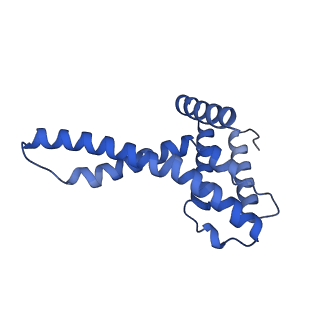 15867_8b6h_Em_v1-2
Cryo-EM structure of cytochrome c oxidase dimer (complex IV) from respiratory supercomplex of Tetrahymena thermophila