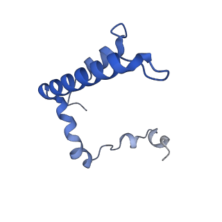 15867_8b6h_Eu_v1-2
Cryo-EM structure of cytochrome c oxidase dimer (complex IV) from respiratory supercomplex of Tetrahymena thermophila