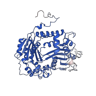 15868_8b6j_A_v1-2
Cryo-EM structure of cytochrome bc1 complex (complex-III) from respiratory supercomplex of Tetrahymena thermophila