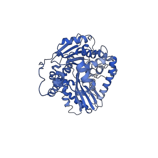 15868_8b6j_B_v1-2
Cryo-EM structure of cytochrome bc1 complex (complex-III) from respiratory supercomplex of Tetrahymena thermophila