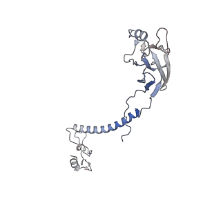15868_8b6j_E_v1-2
Cryo-EM structure of cytochrome bc1 complex (complex-III) from respiratory supercomplex of Tetrahymena thermophila