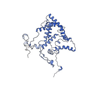 15868_8b6j_G_v1-2
Cryo-EM structure of cytochrome bc1 complex (complex-III) from respiratory supercomplex of Tetrahymena thermophila