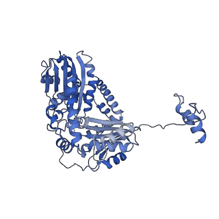 15868_8b6j_b_v1-2
Cryo-EM structure of cytochrome bc1 complex (complex-III) from respiratory supercomplex of Tetrahymena thermophila