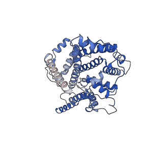 15868_8b6j_c_v1-2
Cryo-EM structure of cytochrome bc1 complex (complex-III) from respiratory supercomplex of Tetrahymena thermophila